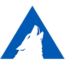 Arctic Wolf Networks